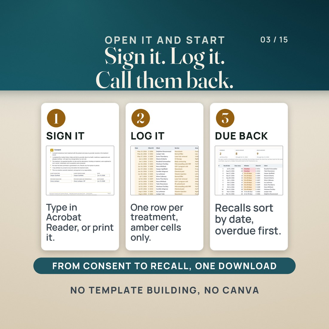 How it works in three steps: sign the consent form, typed in Acrobat Reader or printed; log each treatment as one row on the Treatments tab; and see who is due back on the Recalls tab, sorted by date with overdue clients first.