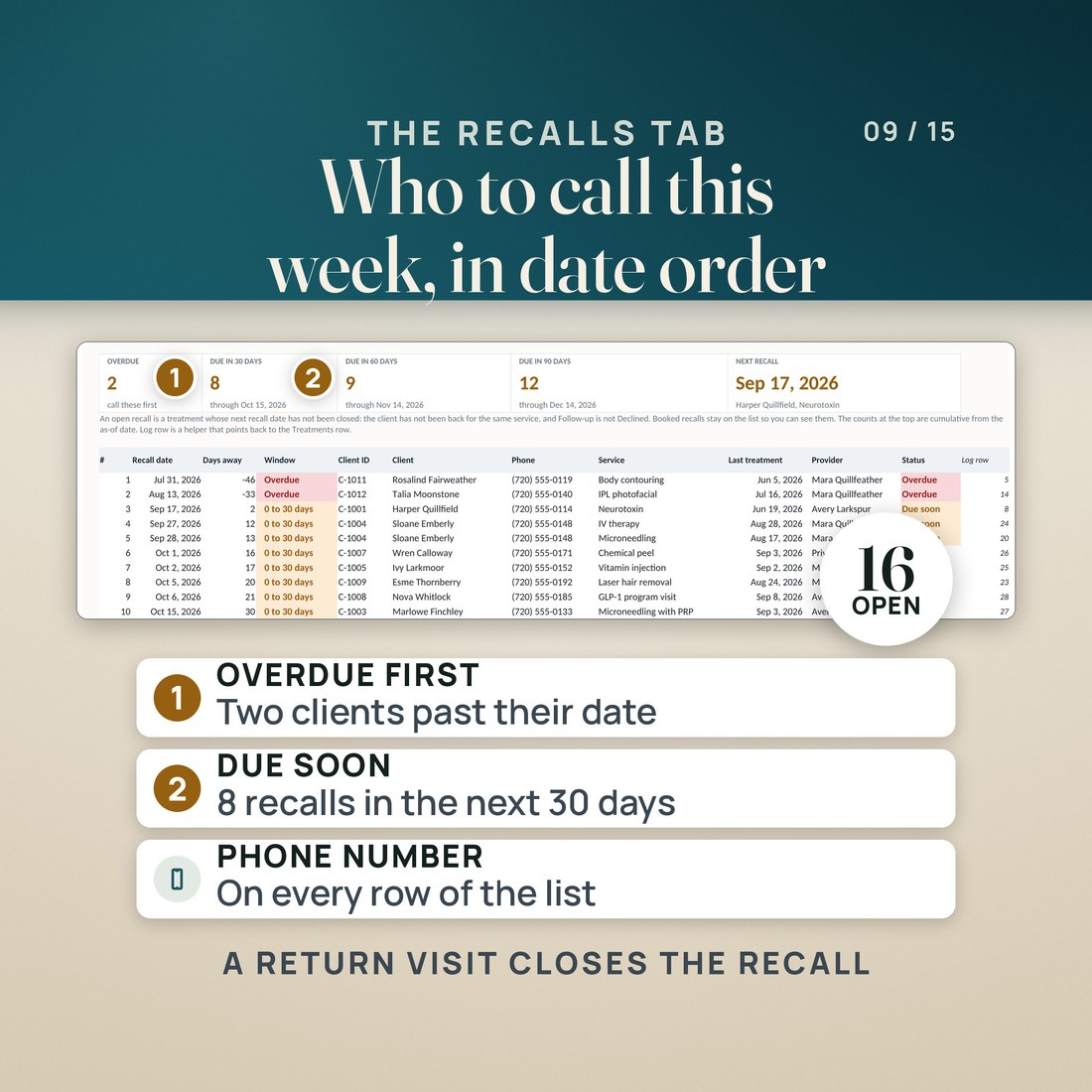 The Recalls tab of the workbook: 2 overdue, 8 due in 30 days, 9 in 60 days, 12 in 90 days and the next recall on Sep 17, 2026, above a date-ordered list with each client's phone number, service, last treatment, provider and status.