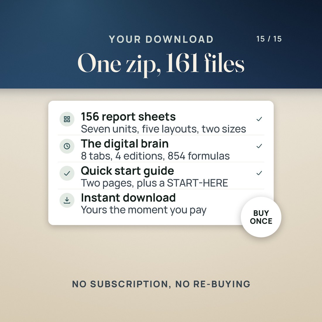 A receipt-style summary: 161 files, one zip, instant download.